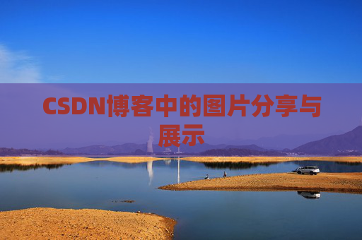 CSDN博客中的图片分享与展示